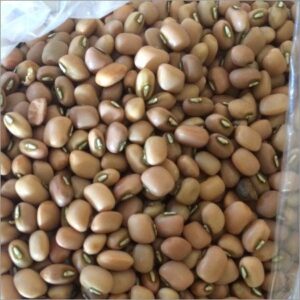 ALASANDI 500G