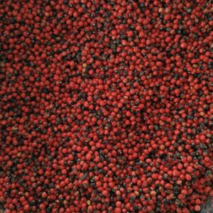 OM SAI ALSINDI RED BULK