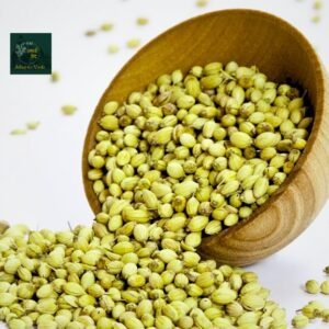 AVITYA CORIANDER 100GRM