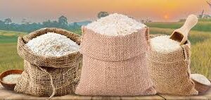 BASMATI RICE BULK