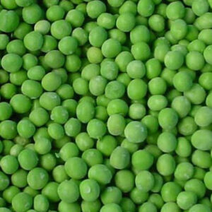 GREEN BATANI BULK