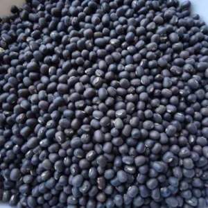 BLACK MOONG BULK