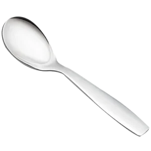 BOURGON MASALA SPOON