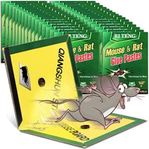 CATCH KING GLUE TRAP