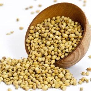DANIYA 100GM