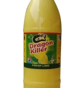 DRAGON KILLER