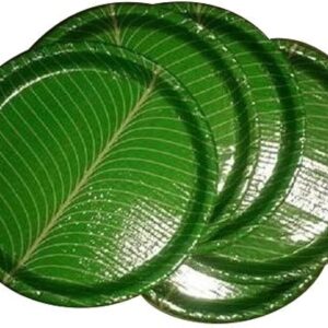 GREEN PLATES