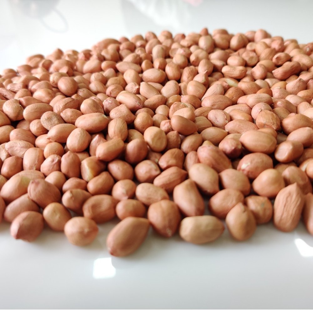 GROUND NUT MOTA BULK