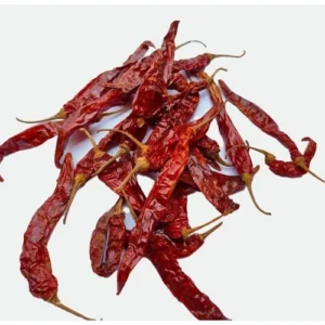 GUNTUR MENASINA KAI 250GRM