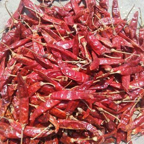 GUNTUR MENASINA KAI 2KG