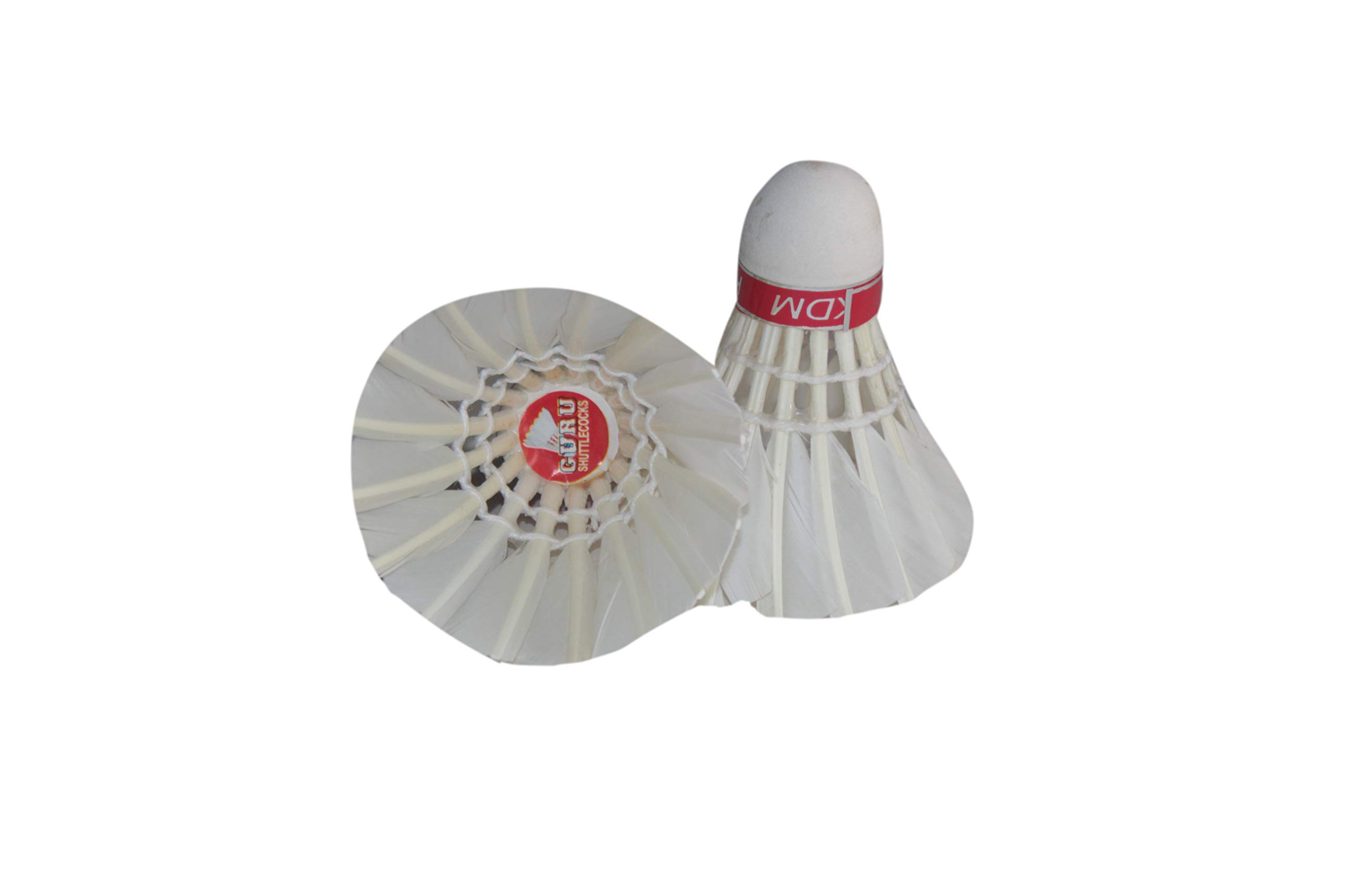 GURU SHUTTLE PER PC