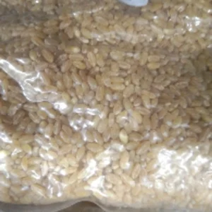 HUGGI GODI 500GM