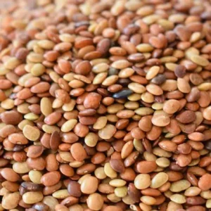 HULULI BULK