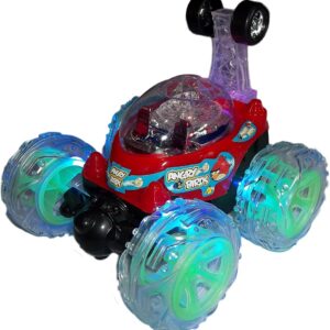 HUNGRY BIRDS STUNT CAR