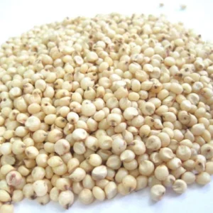 JAWARI ALLU 100GM