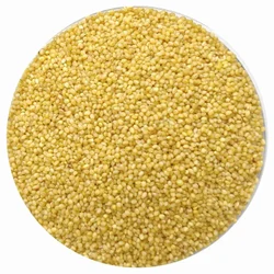 MANKAL NAVANI RICE BULK