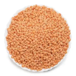 ORGANIC MASOOR DAL 500GMS