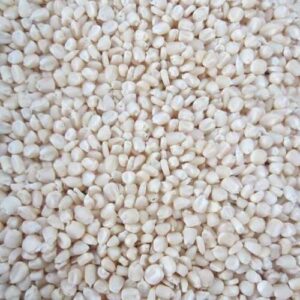 MEKKE JOLA WHITE BULK