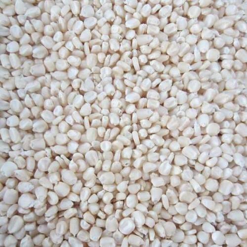MEKKE JOLA WHITE BULK