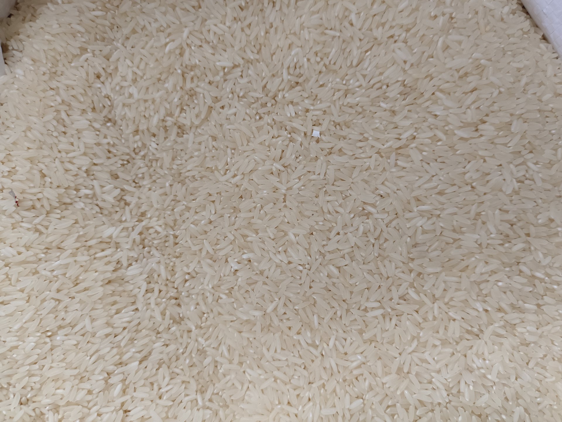 KOLAM RICE 2KG