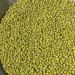 MOONG CHAMKI 500GM