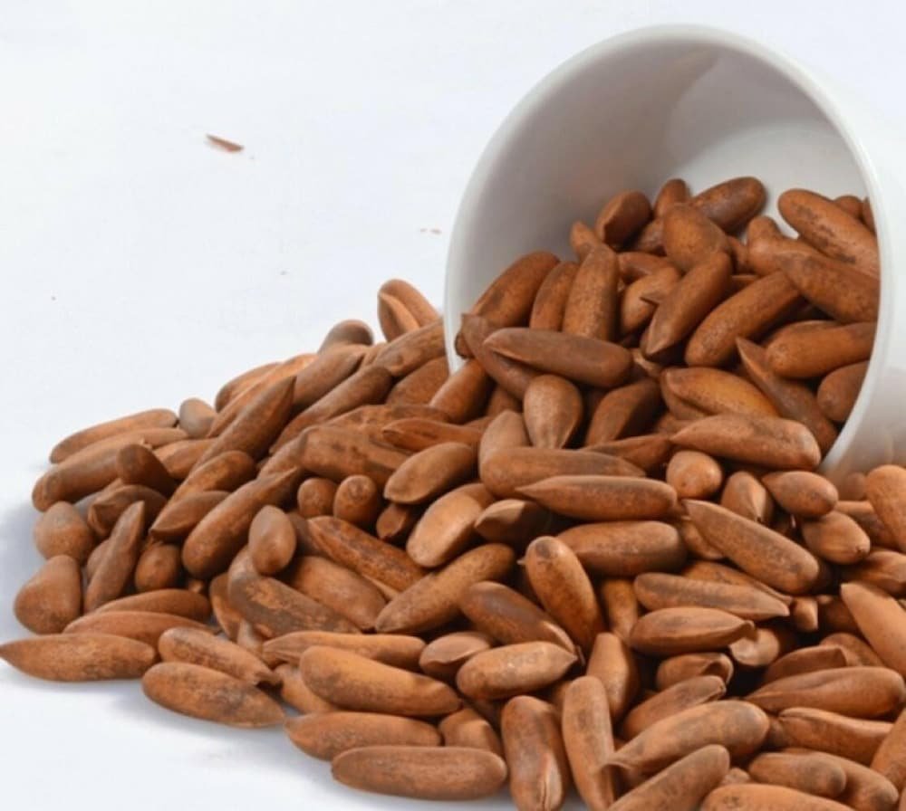 NUTREZZA FRUIT