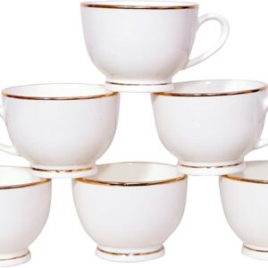OASIS CUP SET 6