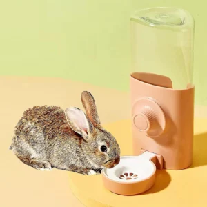 RABBIT WATER BOTTEL