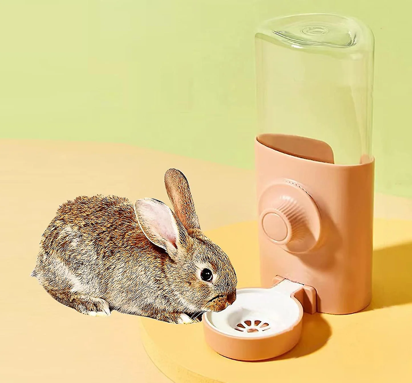 RABBIT WATER BOTTEL