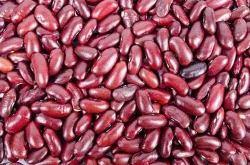 RAJM KASHMIRI BULK