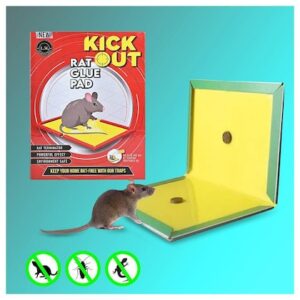 RAT KILLER PAD