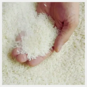 RICE NEW 25KG