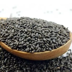 SABJA SEEDS 100GM