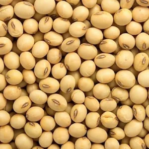 SOYABEAN BULK