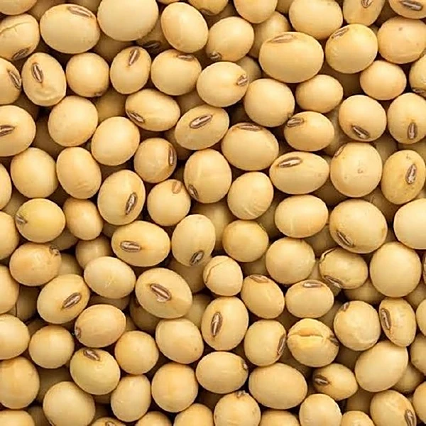 SOYABEAN 250G
