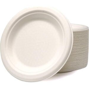 SURYA 25PLATES IT C 12NO