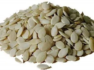TARBUJ BEEJA 250GM