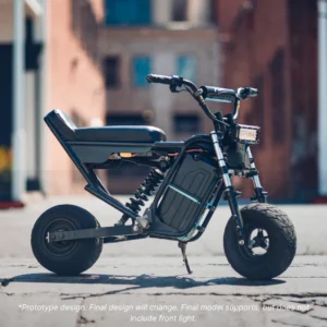 THE FUN  BIKE