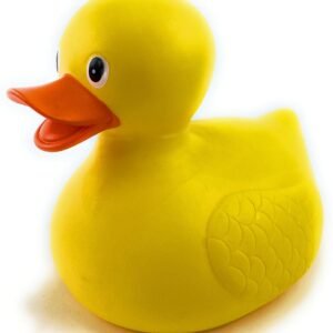 TOY DUCK