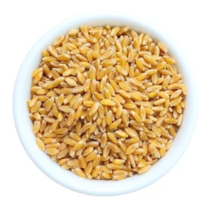 WHEAT BANSI BULK