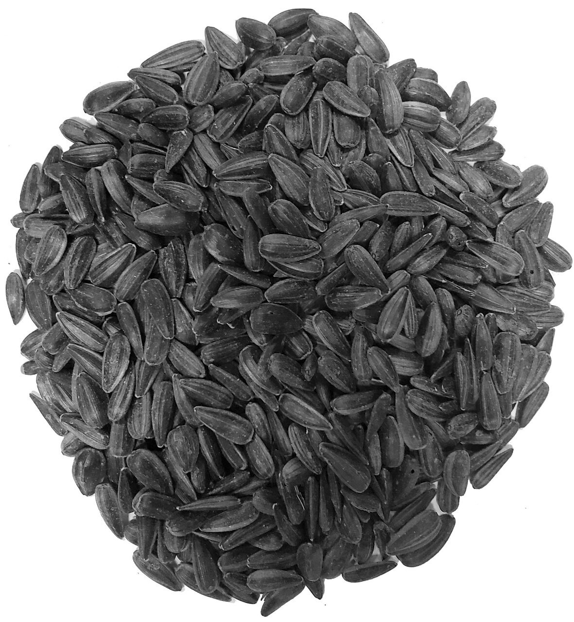 SUNFLOWER SEED BULK